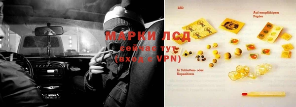 прущие крисы Абаза