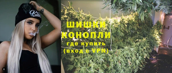 прущие крисы Абаза