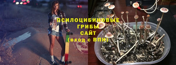 прущие крисы Абаза
